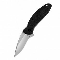 Складной полуавтоматический нож Kershaw Scallion 1620