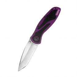 Складной полуавтоматический нож Kershaw Blur 1670PURBDZ