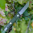 Складной нож Bestech Kendo BG06B-2 - Складной нож Bestech Kendo BG06B-2